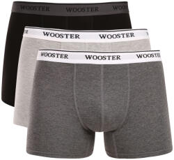 Wooster 3PACK boxeri bărbați Wooster multicolori (W-601) XL (185736)