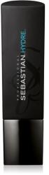 Sebastian Professional Hydre Shampoo 250 ml - parfimo