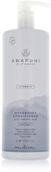 Paul Mitchell Awapuhi Wild Ginger Hydrate Hydrasoft Conditioner 1000 ml - parfimo