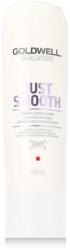 Goldwell Dualsenses Just Smooth Taming Conditioner 200 ml
