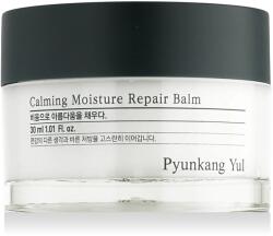 Pyunkang Yul Calming Moisture Repair Balm 30 ml