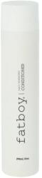 Fatboy Daily Hydrating Conditioner 295 ml