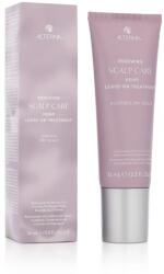 Alterna Haircare Renewing Scalp Care HEMP Leave-On Treatment 74 ml