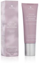 Alterna Haircare Renewing Scalp Care Peppermint Leave-On Treatment 74 ml