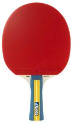 JOOLA Team Master (JA52001)