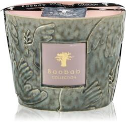 Baobab Collection Paz Colombe illatgyertya 500 g