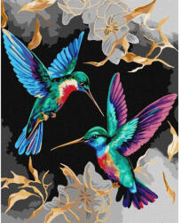 Ideyka Pictura pe numere Pasaei Dansul colibri 40x50 cm KHO6590 (KHO6590) Carte de colorat