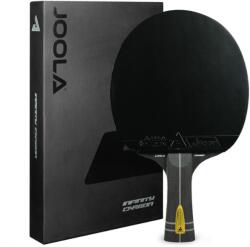 JOOLA Infinity Carbon