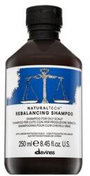 Davines Natural Tech Rebalancing Shampoo Шампоан 250 ml