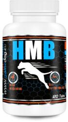 Game Dog HMB - supplements for dogs - 120 tablets