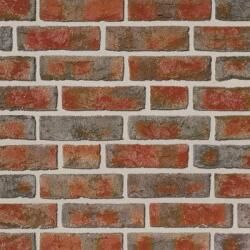 Roben Caramida Aparenta Formback, rosu brun multicolor, NF (240x71x14 mm) (ROB-CA-FORMBACK-MF)