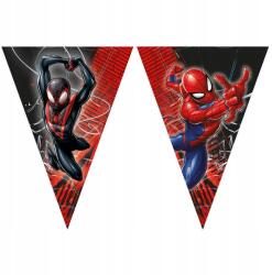 Procos Ghirlandă de hârtie - Spiderman World of Web 230 cm