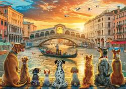 Schmidt Spiele - Puzzle Dogs in Venice, Italy - 1 000 piese