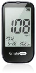 GMATE Glucometru VOICE PG301 full kit (glucometru+25 teste+10 ace), Gmate