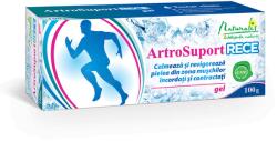 NATURALIS ArtroSuport RECE gel, 100 g, Naturalis