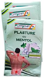 CATENA Plasture antireumatic cu mentol 12 cm x 18 cm Catena, 1 buc