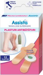 ASSISTA Plasturi antibataturi, 12 bucata, Assista