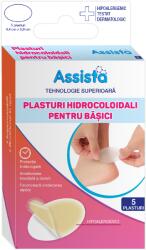 ASSISTA Plasturi hidrocoloidali pentru basici, mix, 6 bucati, Assista