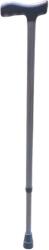 PIRMAX Baston reglabil pe inaltime PB70 - Argintiu