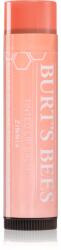Burt's Bees Tinted Lip Balm balsam de buze culoare Zinnia 4.25 g