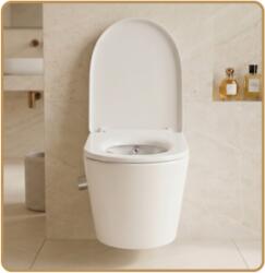 Wellis Clement Plus fali rimless WC beépített bidé funkcióval (WF00216)