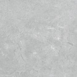 PAMESA CERAMICA 100x100 CONSTANZA GRAY (0170100041032)