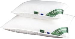 Czinger HOME Allergia "STOP" Antiallergén Párna szett (félpárna és kispárna) - 100 % Pamut huzatban szegőszalaggal 48x68, 38x48 cm, 500-250 g (PP0023)