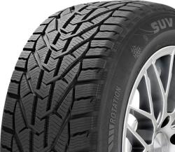 Riken Anvelopa iarna Riken Snow 225/50 R17 94H -