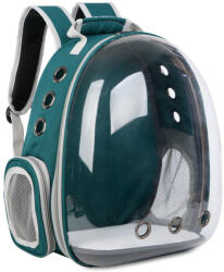 Rucsac Pentru Transport Pisici, Verde, Transparent, 31x42x28 cm