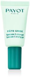 PAYOT Pate Gris Spéciale 5 Drying Gel 15 ml