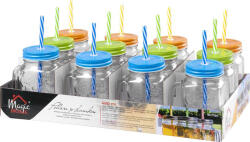 MagicHome üvegpohár, szívószállal, színes tetővel, üveg, 480 ml (801796)