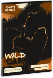 Ars Una Wild in the Dark tűzött füzet A/5, 32 lap vonalas 1. osztály (14-32), Ars Una, oroszlánok (ARS-53585431)