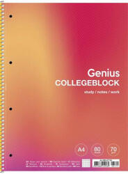 Shkolyaryk Publishing House Spirálfüzet, A4+, kockás, 80 lap, SHKOLYARYK "Genius", vegyes (A4-080-6715K)