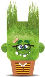 Hape Papusa cap de iarba - Charles cel Vesel (848102)