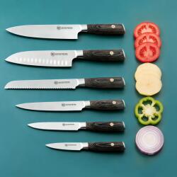 Carl Schmidt Sohn Set 6 cutite Apex, otel german