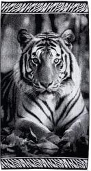 Strandex Kft ANIMAL Tigris Strandtörölköző 165x90cm (5901234123488)