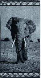 Strandex Kft ANIMAL Elefánt Strandtörölköző 165x90cm (5901234123464)