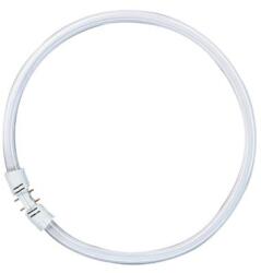 OSRAM Tub Neon Fluorescent Circular Osram FC / TL5C 40W/840 2GX13 3300Lm 4000K Lumina Alba Naturala Clasa Energetica G (O0528526)