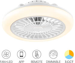 Braytron Ventilátor, mennyezeti csillárventilátor távirányítóval, CCT dimmelhető (BR-BH85-00040)