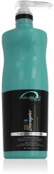 Malibu C Color Disruptor 1000 ml