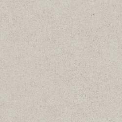 PAMESA CERAMICA 60x60 LIN GRIS (0178400023638)