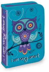 S-Cool Penar echipat cu 1 fermoar si 2 extensii S-COOL SC3264, 32 piese, Owl (SC3264) Penar