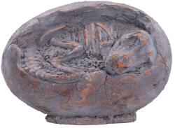 Nemesis Now Statuetă Nemesis Now Adult: Dinosaurs - Tyrannosaurus Rex Egg, 13.3 cm (D7555B26) Figurina