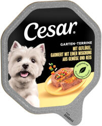 Cesar 14x150g Cesar Szárnyas, zöldség & rizs nedves kutyatáp