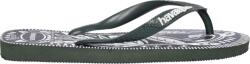 Havaianas Top Logo Metallic (4150744-4896)