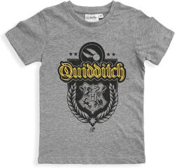 Harry Potter Quidditch Grey gyerek rövid póló, felső 8 év / 128 cm (85SEV1166B8) - eking