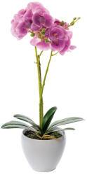 AdTrend Orhidee roz in ghiveci 14 x 50 cm (71148B)