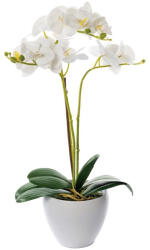 AdTrend Orhidee alba in ghiveci 14 x 50 cm (71148D)
