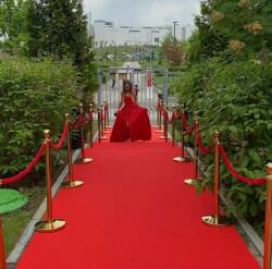 PLAT Mocheta Evenimente PLAT ROUGE, Latime 1m, Grosime 1mm, Marime 100 x 2500 cm, Rosu, Antialergic, Polipropilena, Prezentari, Intalniri oficiale, Terase, Curti