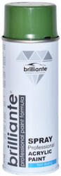 BRILLIANTE Vopsea Spray Verde Reseda (Ral 6011) 400 Ml Brilliante (8713)